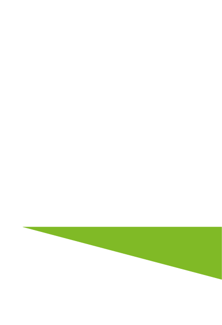 Litodelta