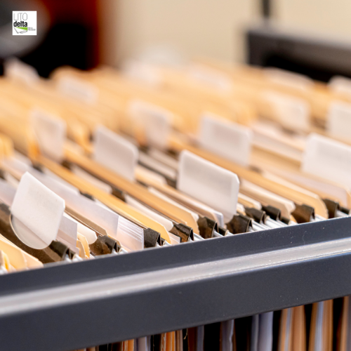 Cartelline per schedari